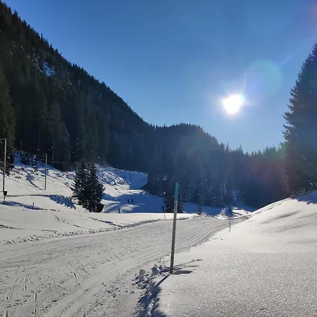 2,5 Zi Dischma 20 Tinzenblick アパート ダヴォス・プラッツ