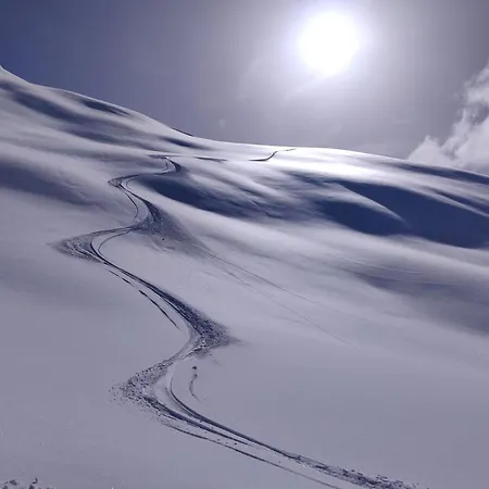 2,5 Zi Dischma 20 Tinzenblick דירה דאבוס