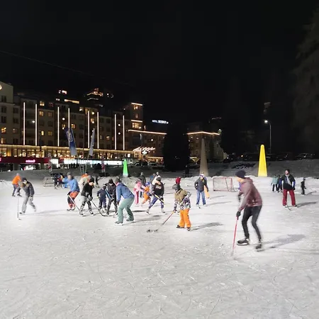 2,5 Zi Dischma 20 Tinzenblick * 达沃斯